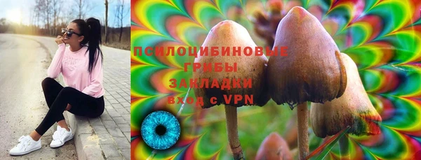 мдпв Навашино