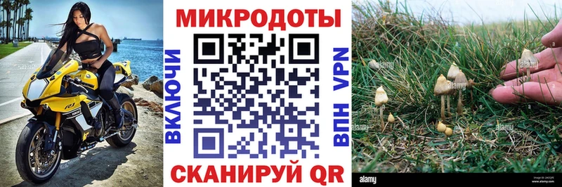 Псилоцибиновые грибы мицелий  Купить  Любань 